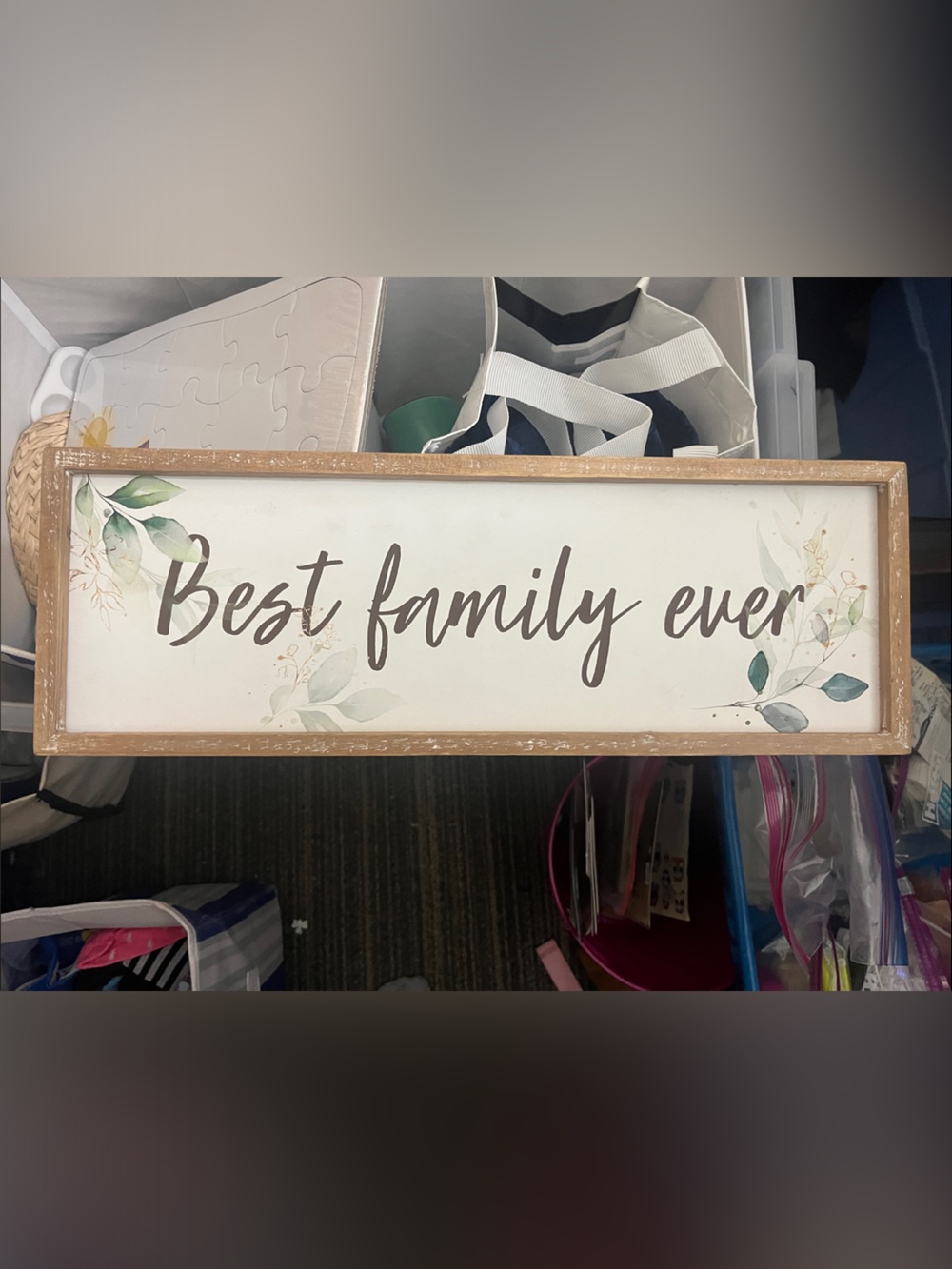 Framed 'Best Family Ever' Wall Sign - Neutral Green Leaves